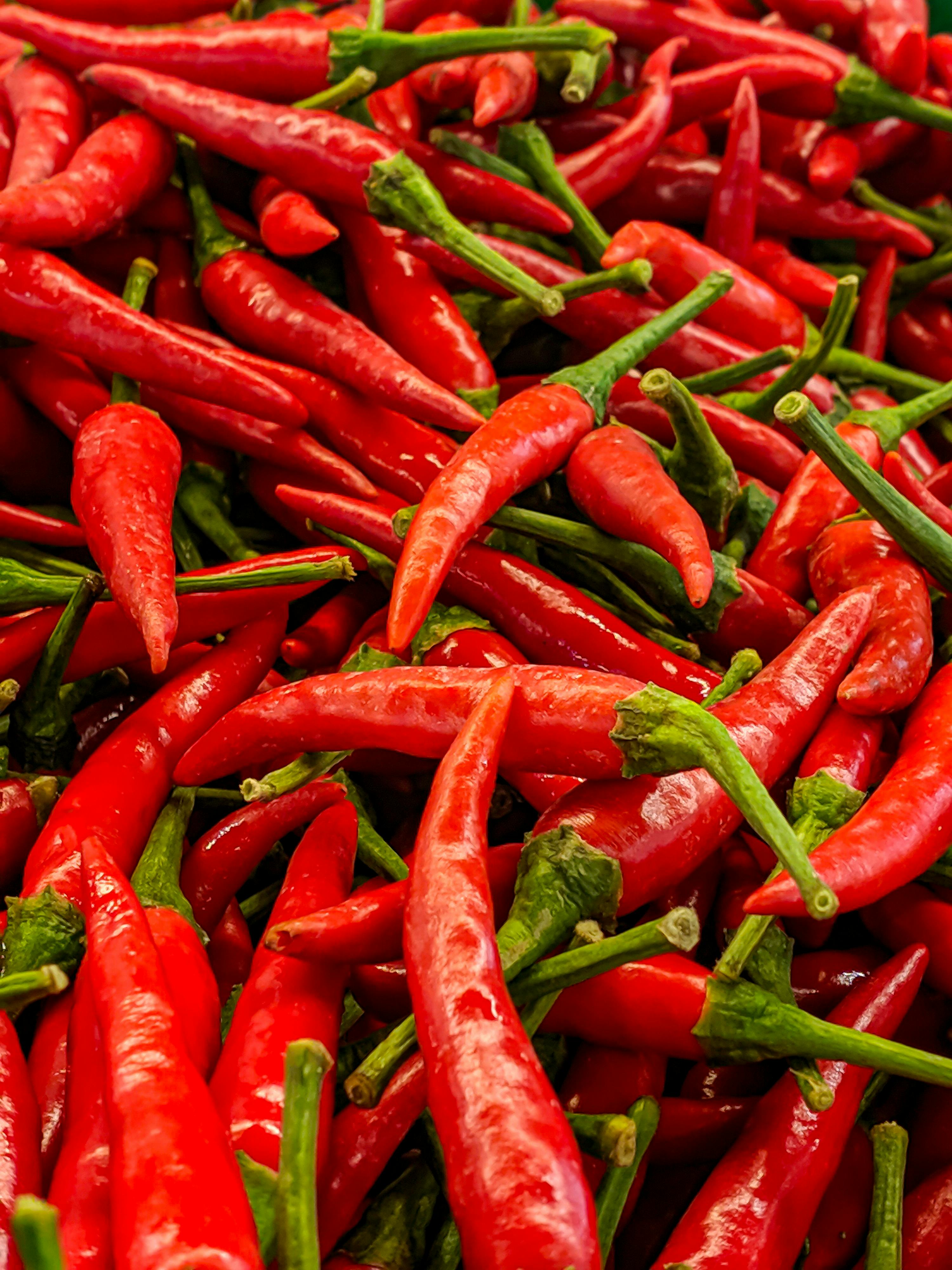 Hot Pepper